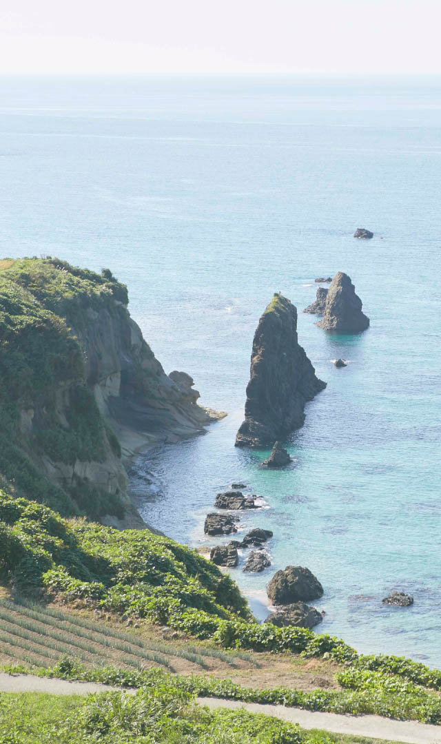 backgraound,ebara,image